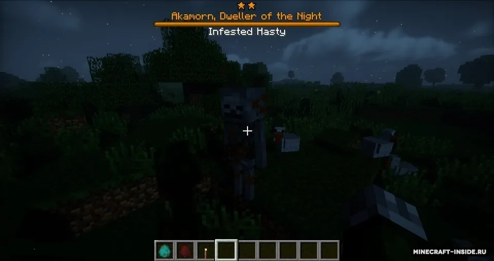Champions — Minecraft mod, rasm 3