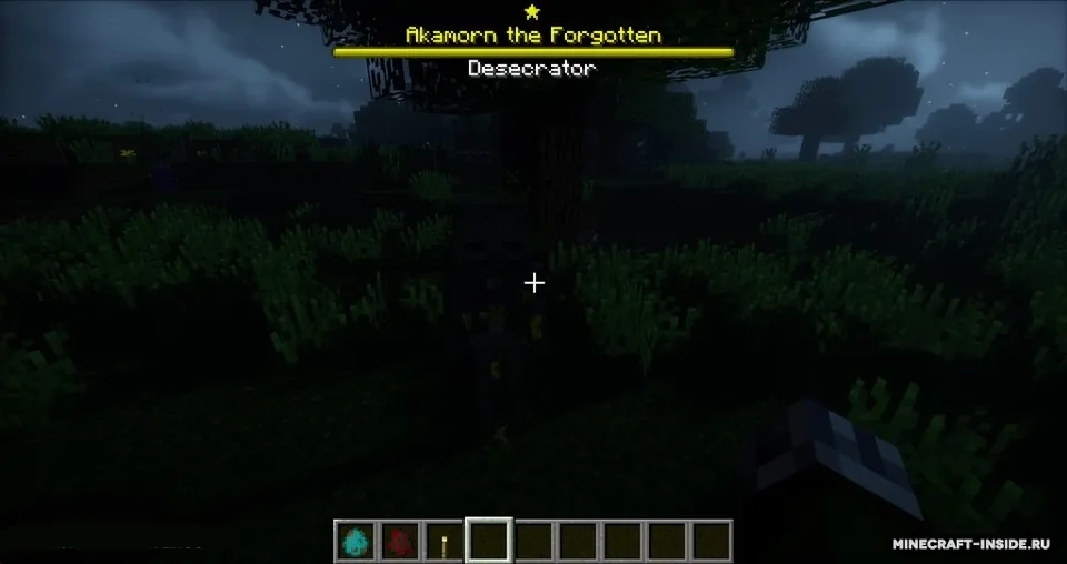 Champions — Minecraft mod, rasm 4