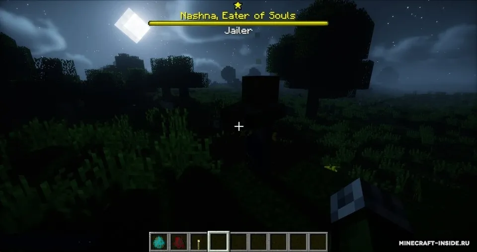 Champions — Minecraft mod, rasm 5
