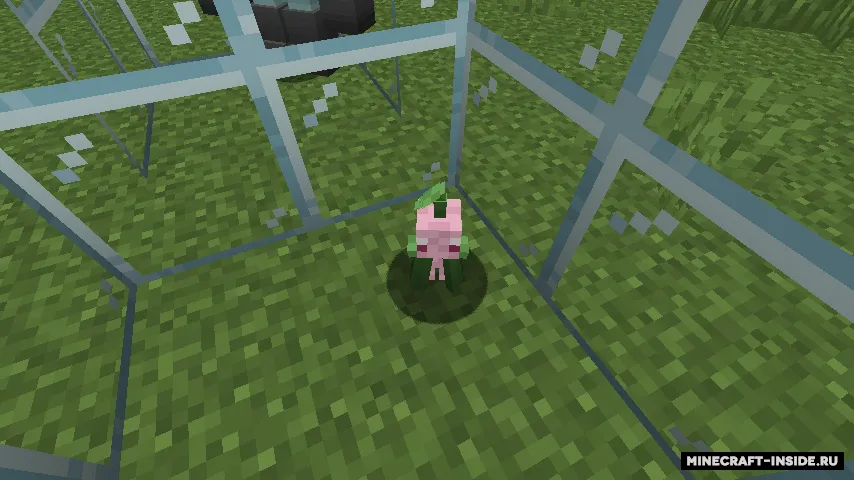 Monsters & Mushrooms — Minecraft mod, rasm 6