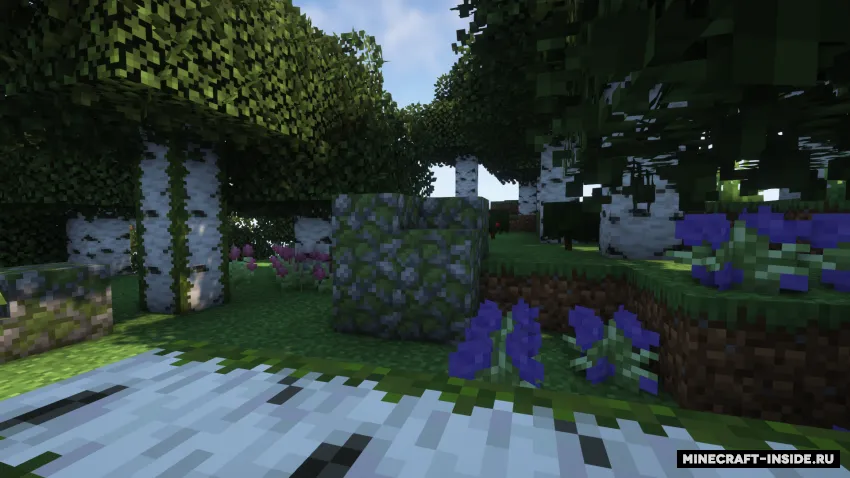 Mallard’s Birch Forest Expanded — Minecraft mod, rasm 2
