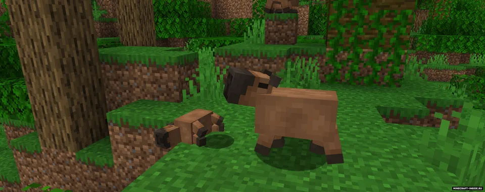Promenade — Minecraft mod, rasm 2