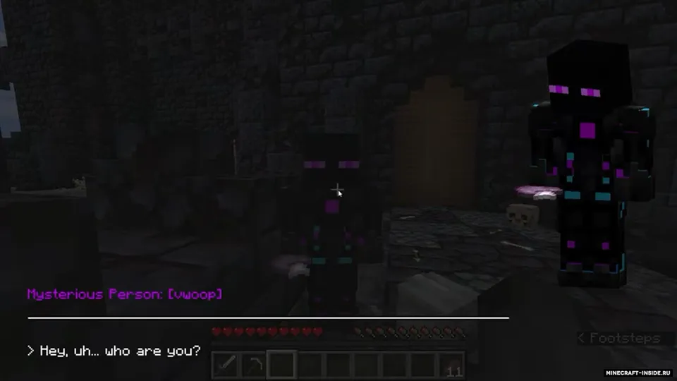 Flash's NPCs — Minecraft mod, rasm 5