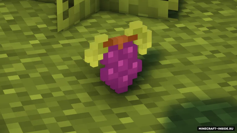 Vineyard — Minecraft mod, rasm 3