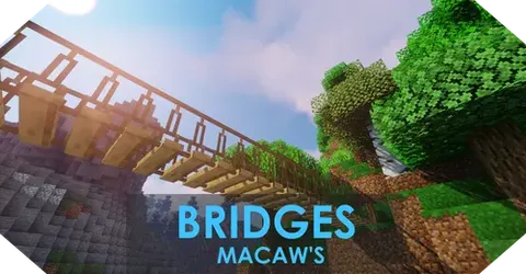 Macaw's Bridges