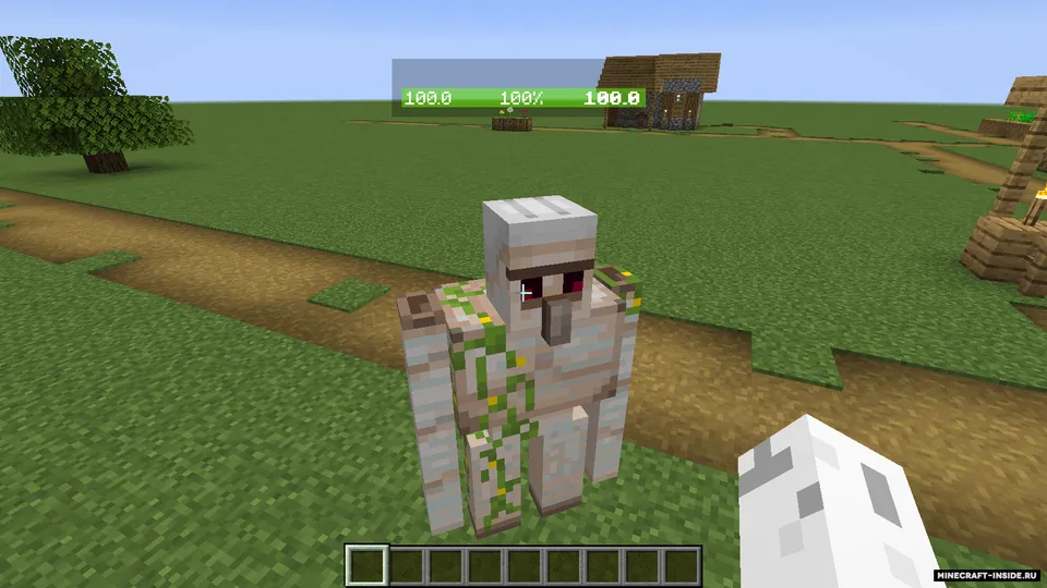 Health Bar Minus Name — Minecraft mod, rasm 2