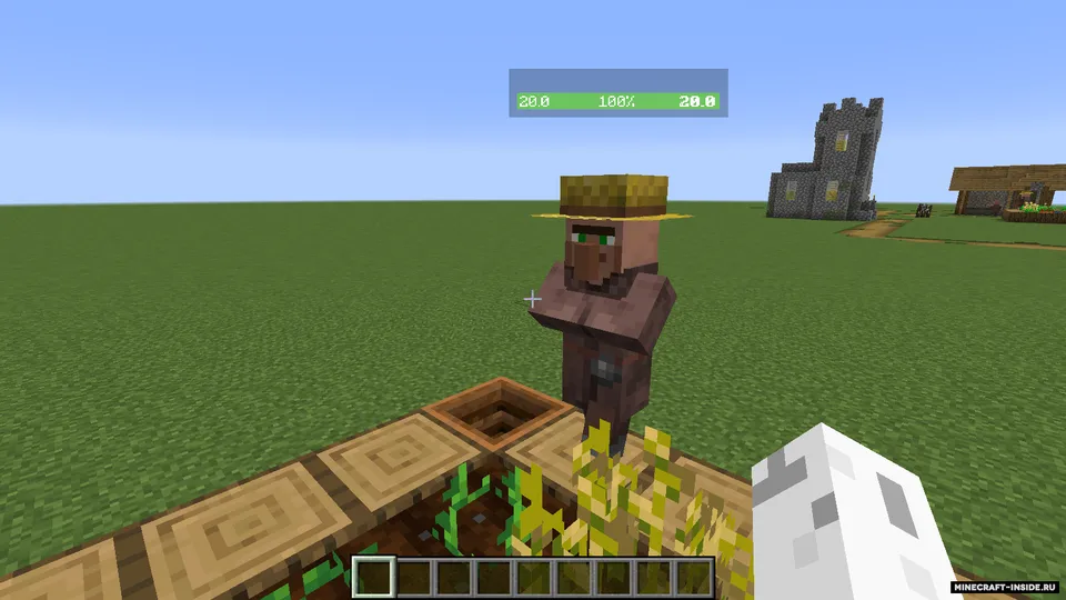 Health Bar Minus Name — Minecraft mod, rasm 3