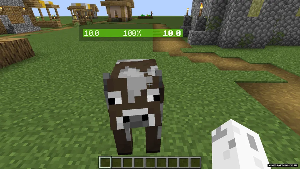 Health Bar Minus Name — Minecraft mod, rasm 4