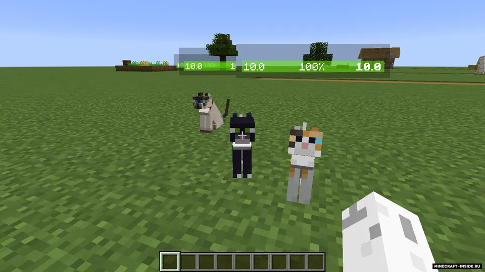 Health Bar Minus Name — Minecraft mod, rasm 5