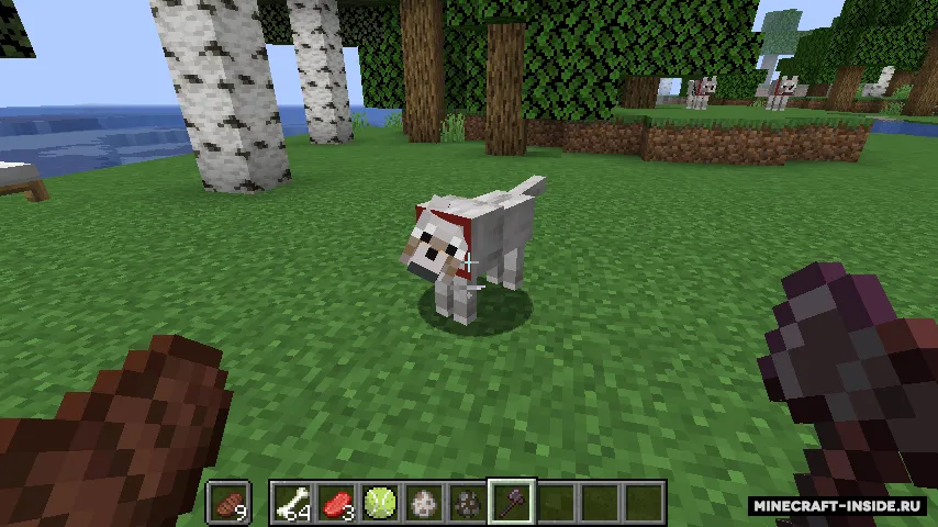 Upgraded Wolves — Minecraft mod, rasm 2