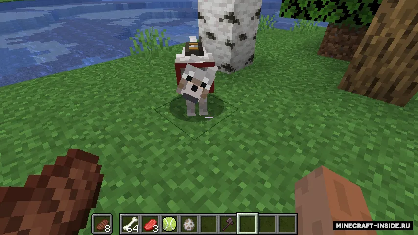 Upgraded Wolves — Minecraft mod, rasm 7