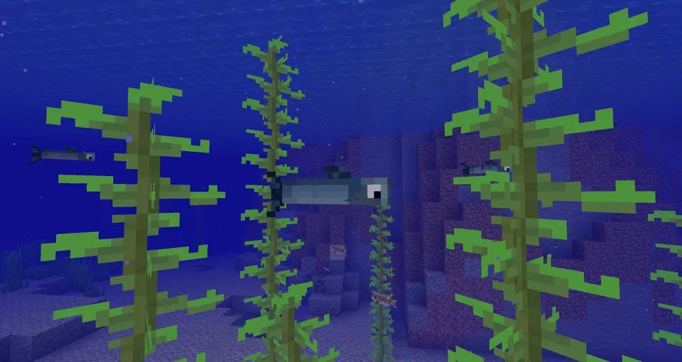 BigFish — Minecraft mod, rasm 3