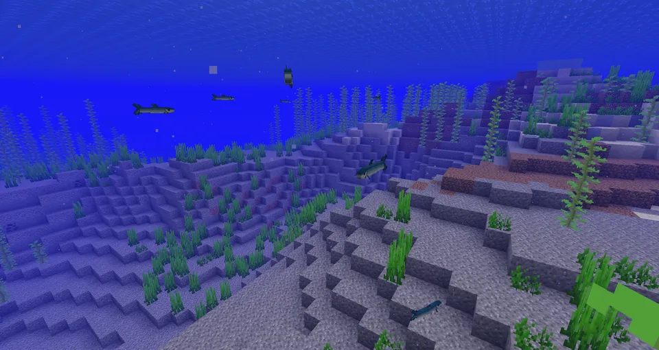 BigFish — Minecraft mod, rasm 4