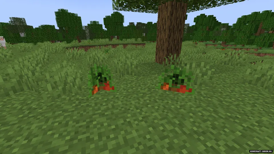 Hybrid Crops — Minecraft mod, rasm 2