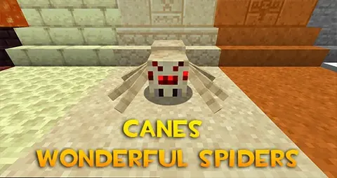 Canes Wonderful Spiders