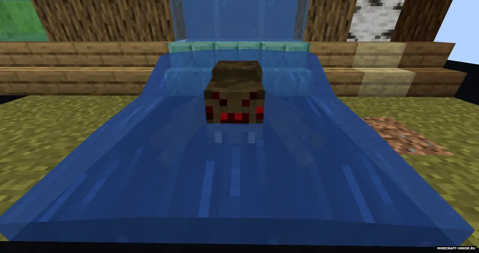 Canes Wonderful Spiders — Minecraft mod, rasm 8