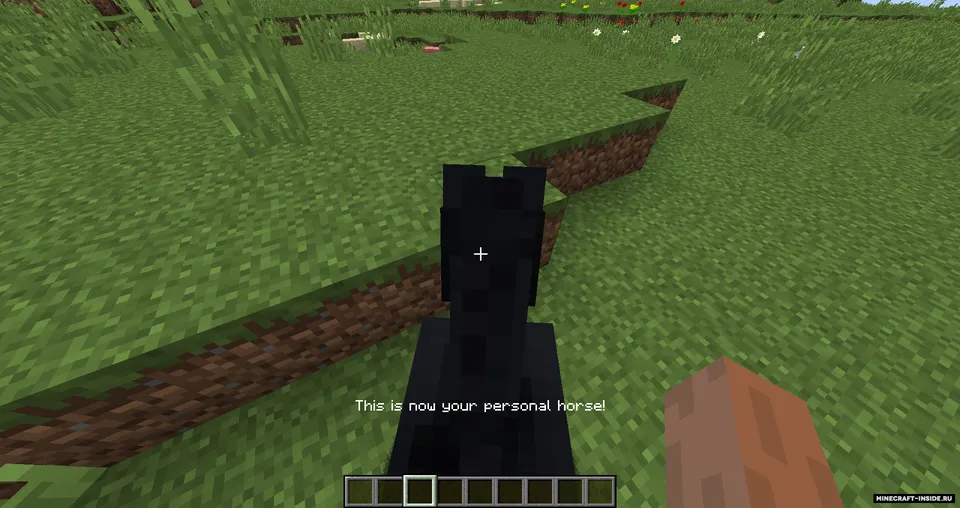 Callable Horses — Minecraft mod, rasm 3