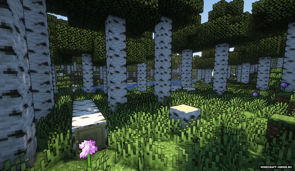 Red´s Better Biomes — Minecraft mod, rasm 3