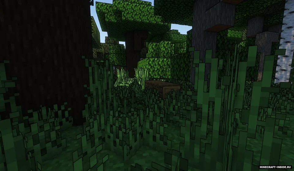 Red´s Better Biomes — Minecraft mod, rasm 4
