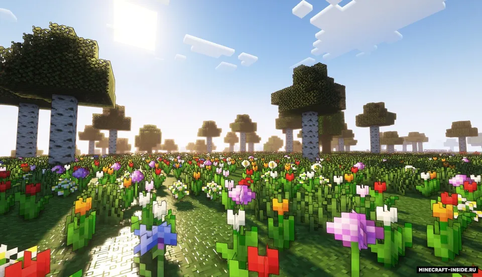 Red´s Better Biomes — Minecraft mod, rasm 6