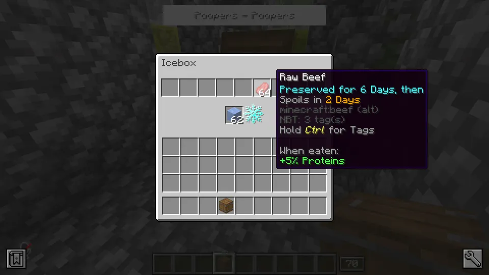 Food Spoiling — Minecraft mod, rasm 6