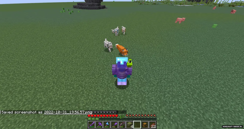 Superflat Biomes — Minecraft mod, rasm 3