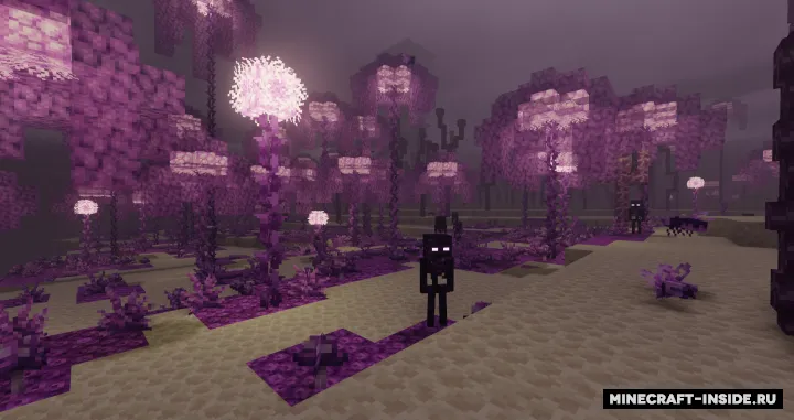 Plus The End — Minecraft mod, rasm 2