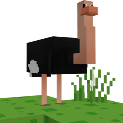 YDM's Ostrich
