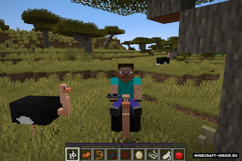 YDM's Ostrich — Minecraft mod, rasm 2