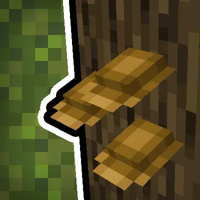 Natural Decoration