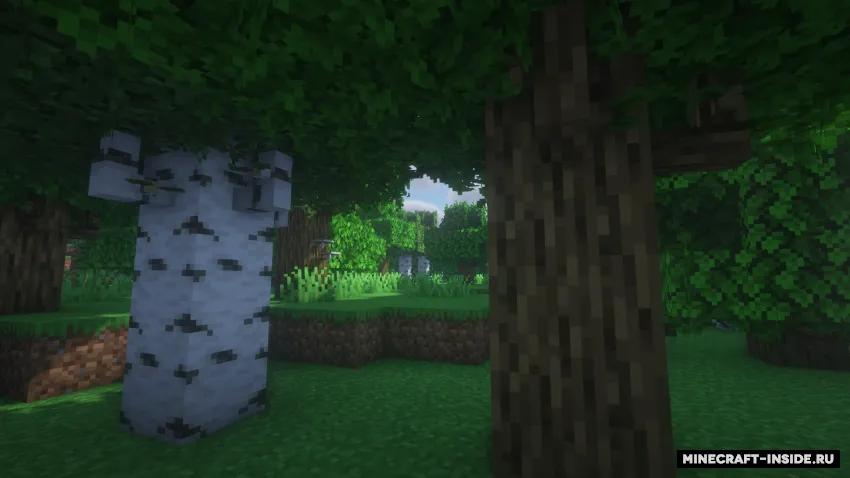 Natural Decoration — Minecraft mod, rasm 2