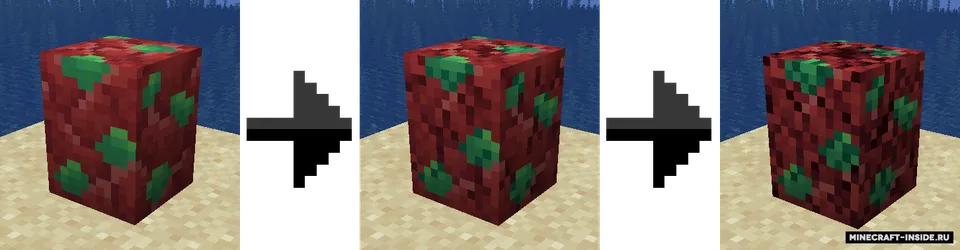 What Are You Voting For? — Minecraft mod, rasm 4
