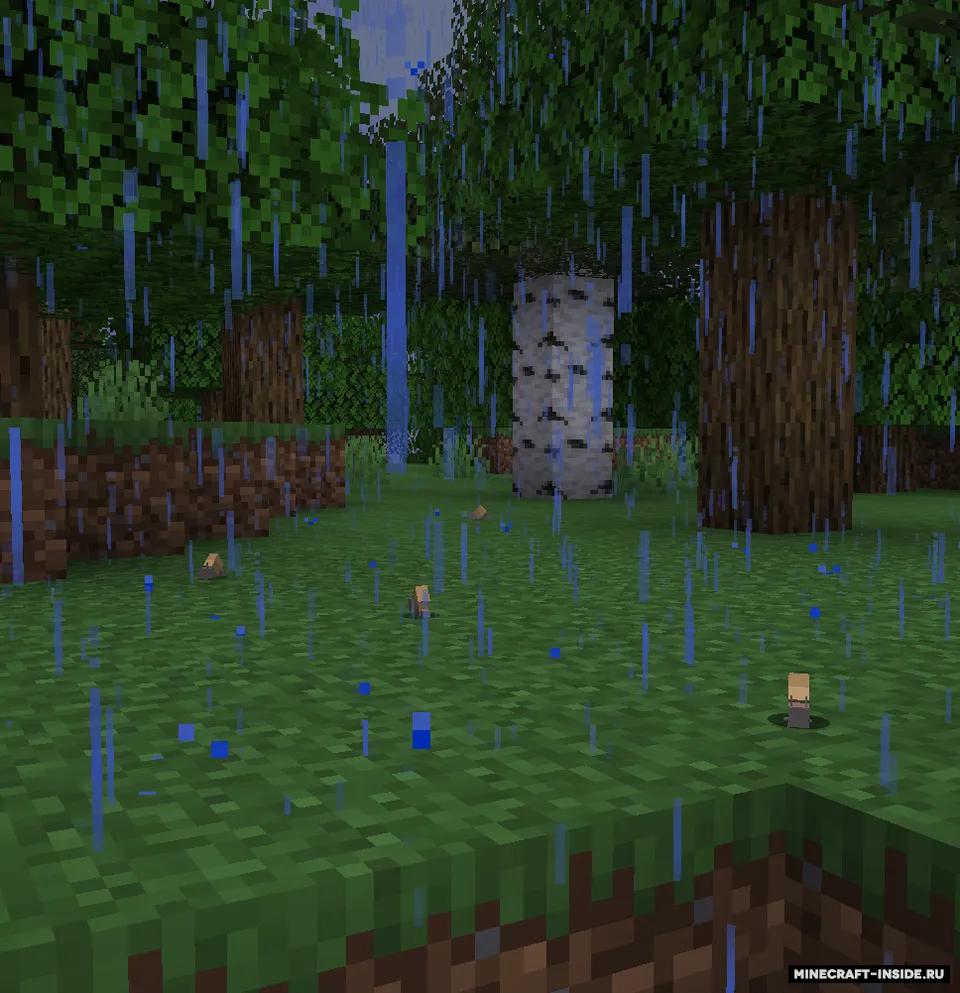 Nature and Rain — Minecraft mod, rasm 3