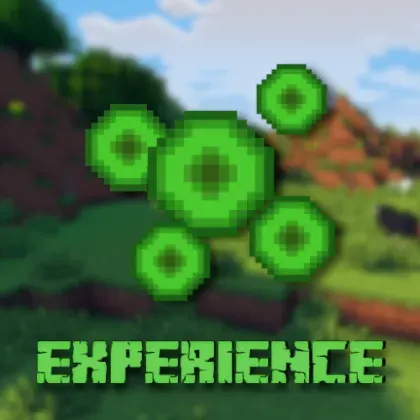 ExperienceMod