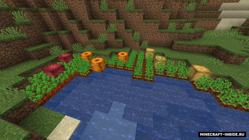Giant Crops — Minecraft mod, rasm 2