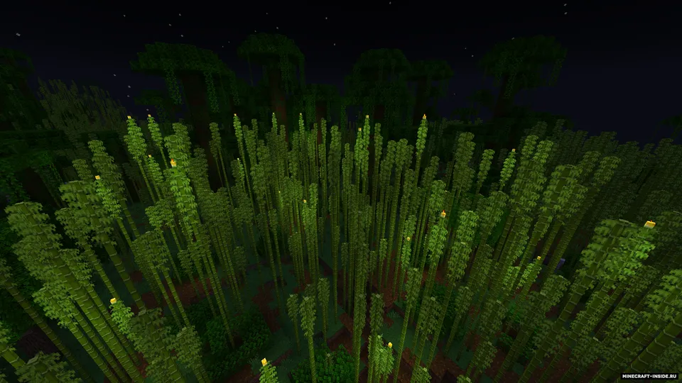 Dried Bamboo — Minecraft mod, rasm 2