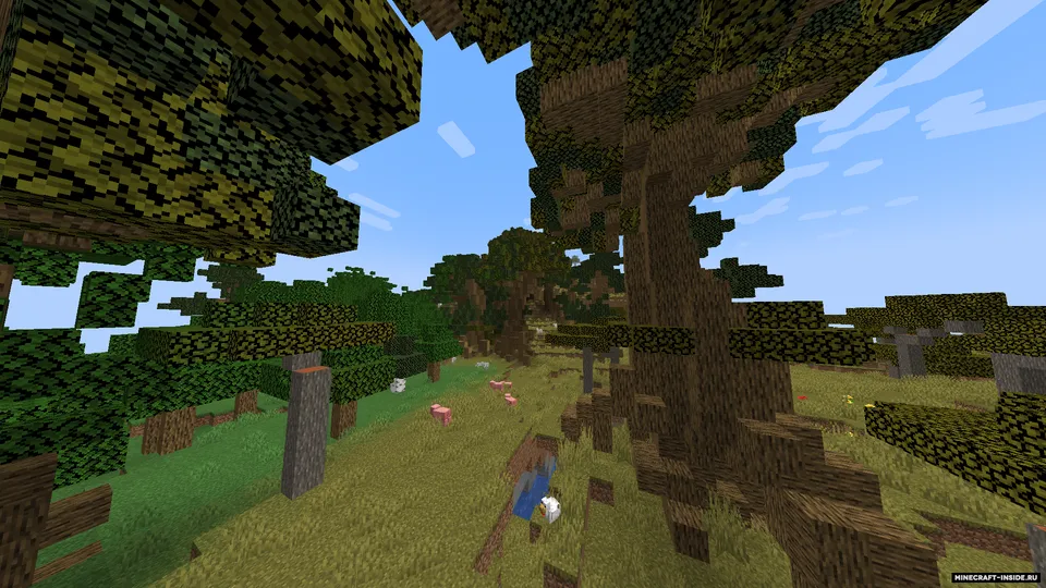 This Big World — Minecraft mod, rasm 2