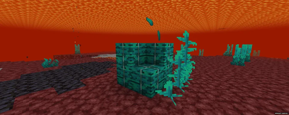 Nether Depths Upgrade — Minecraft mod, rasm 2