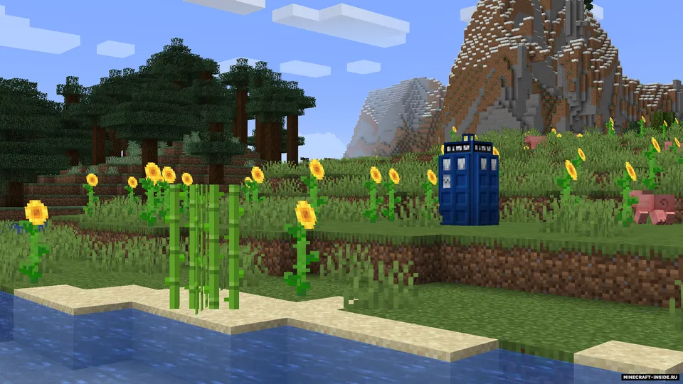 TARDIM — Minecraft mod, rasm 2