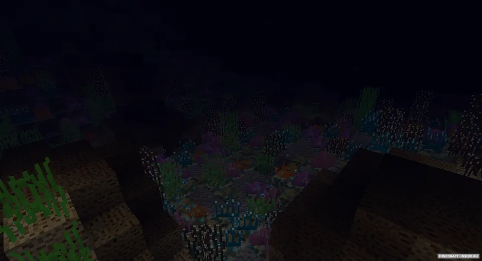 CoralReef — Minecraft mod, rasm 3