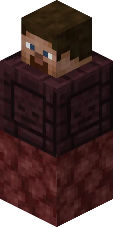 It's Been Twelve Years — Minecraft mod, rasm 5