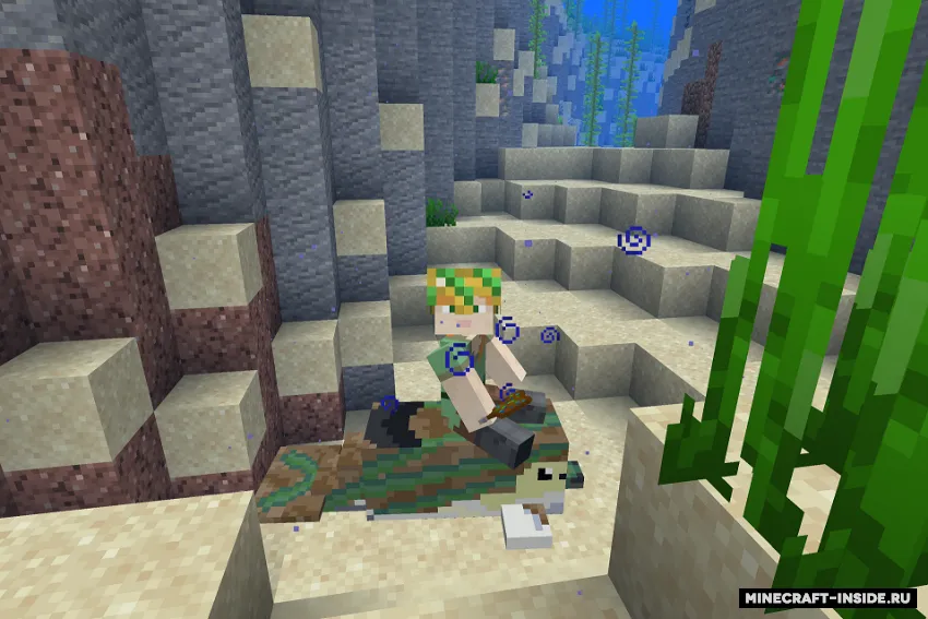Dolphins of The Deep — Minecraft mod, rasm 2