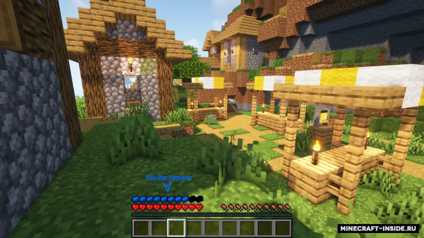 Hygiene — Minecraft mod, rasm 2