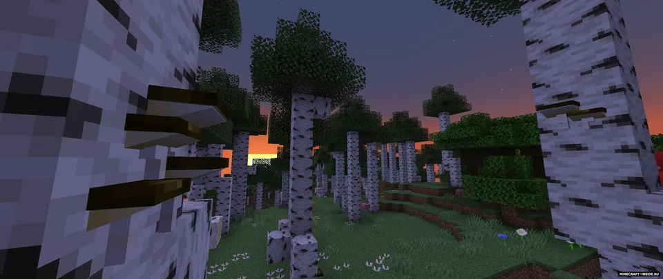 Regenerations? — Minecraft mod, rasm 3