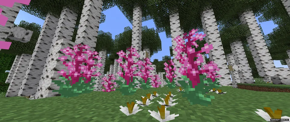 Regenerations? — Minecraft mod, rasm 4