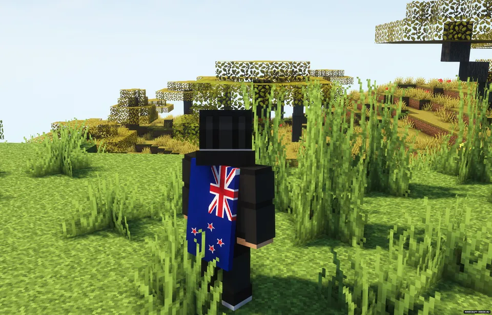 Cosmetica — Minecraft mod, rasm 3