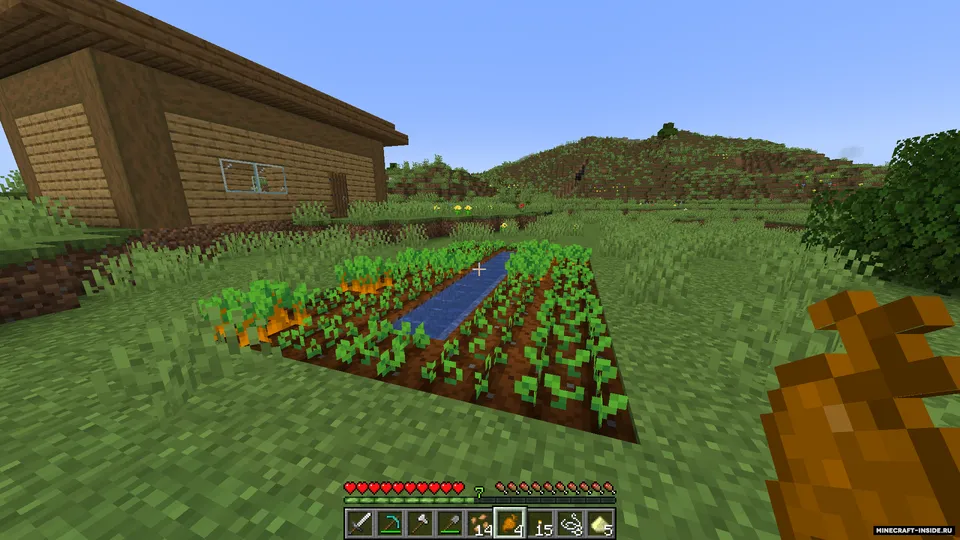 Better Sugar Mod — Minecraft mod, rasm 2