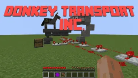 Donkey Transport Inc.