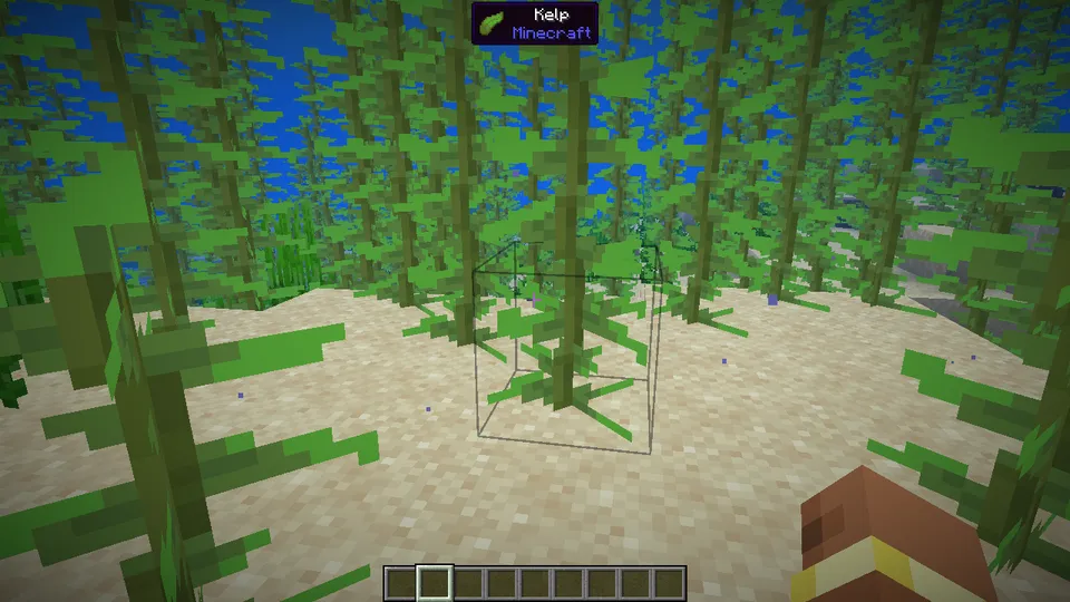 WTFIT — Minecraft mod, rasm 4