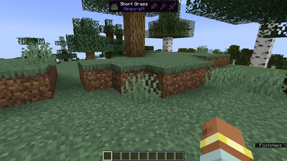 WTFIT — Minecraft mod, rasm 7
